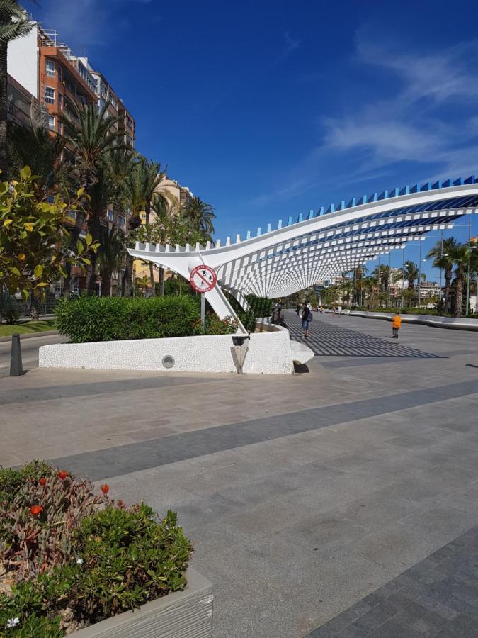 Apartament Carmen 또레비에하 외부 사진